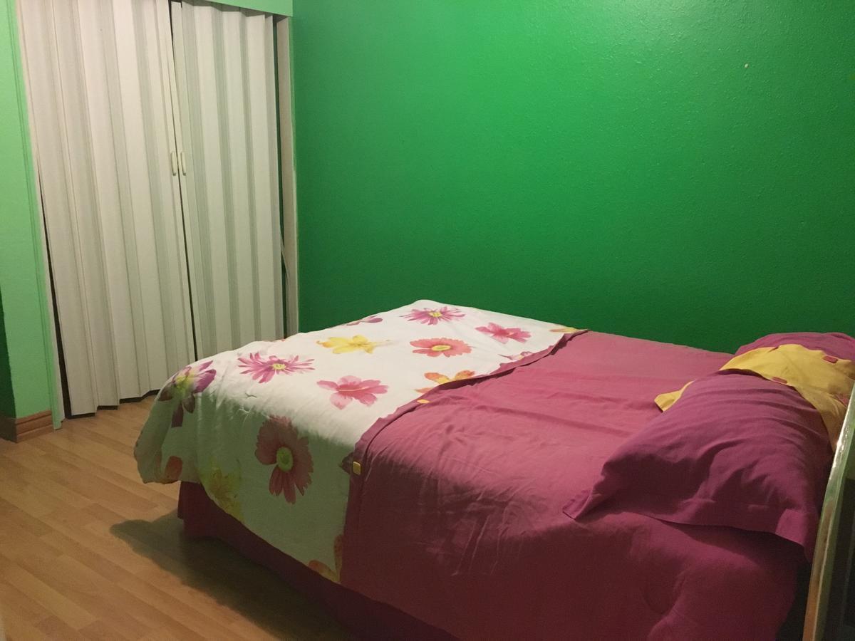 Blanquita Guesthouse Manuel F. Martínez エクステリア 写真